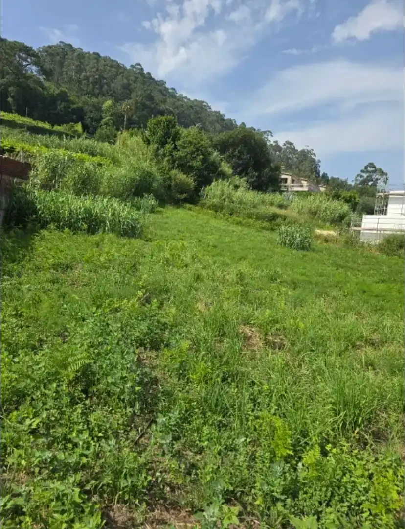 Terrenos y solares en venta en Lugar Aldariz-Padriñan 28, imagen 5