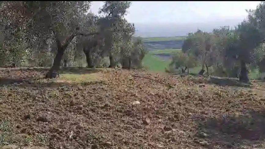 Terrain rustique à vendre à CIUDAD DE BAENA 68