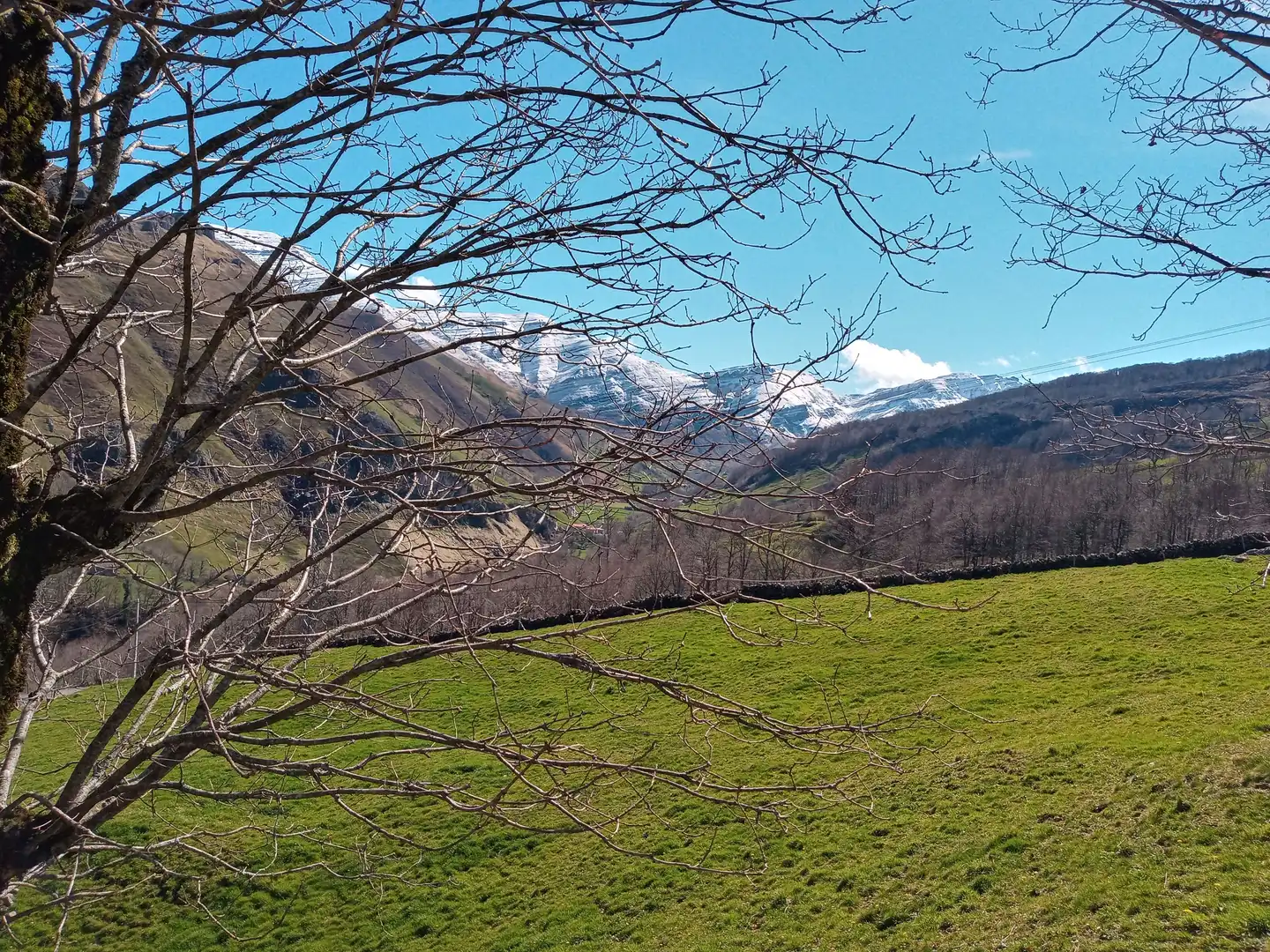 Vista exterior de Finca rústica en venta en San Roque de Riomiera con Jardín privado