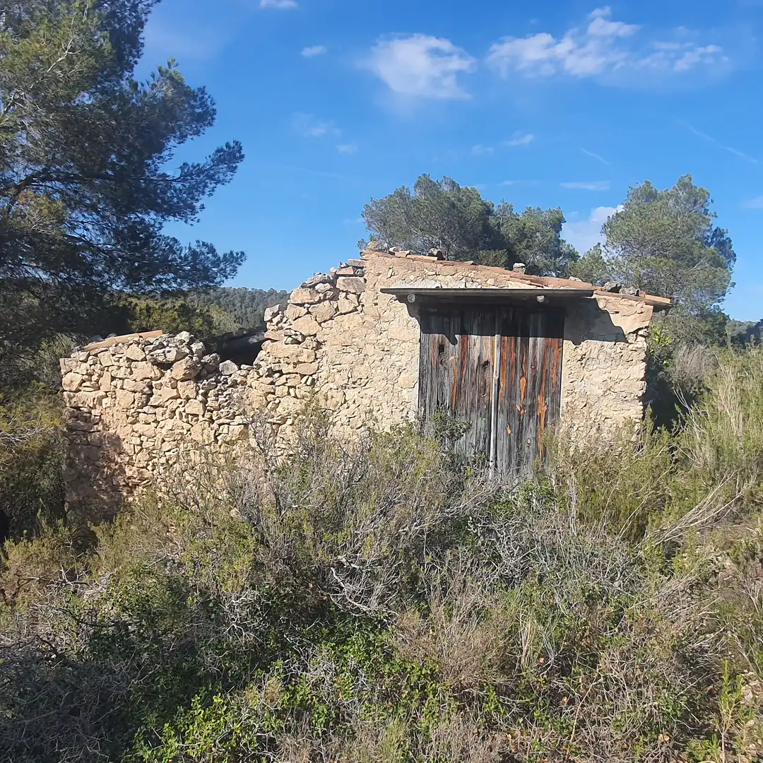 Terrain rustique à vendre à Benifallet, imagen 20