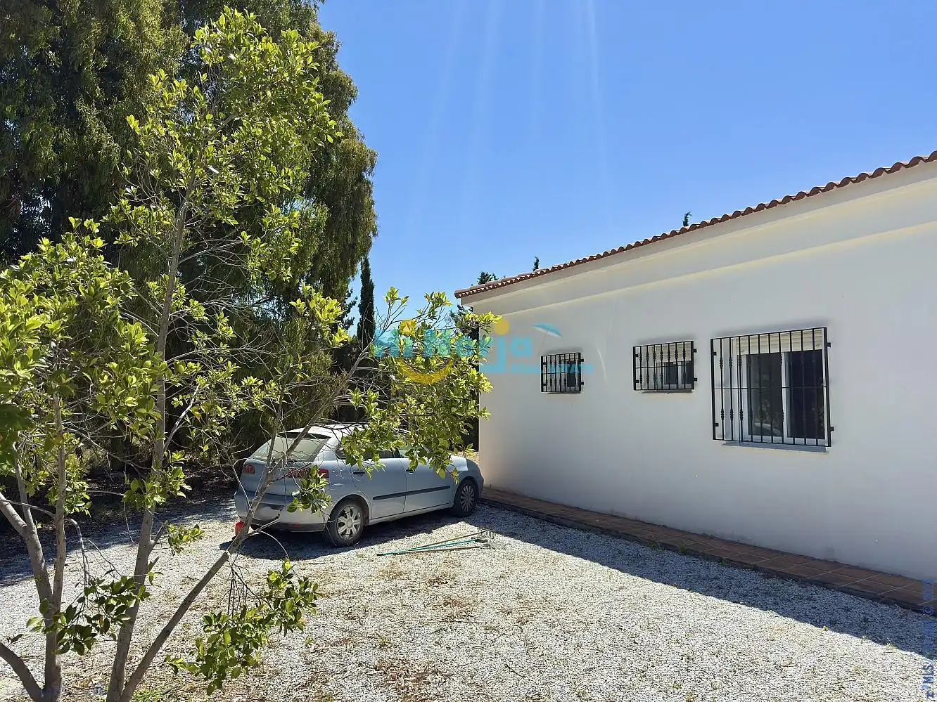 Vista exterior de Finca rústica en venta en Vélez-Málaga