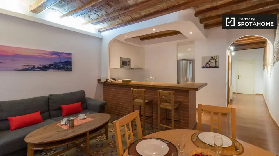 Appartamento con terrazza in affitto a Ciutat Vella, imagen 14