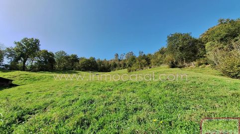 Foto 5 de Residencial en venta en Santa Marina - Polígono, Mieres (Asturias)