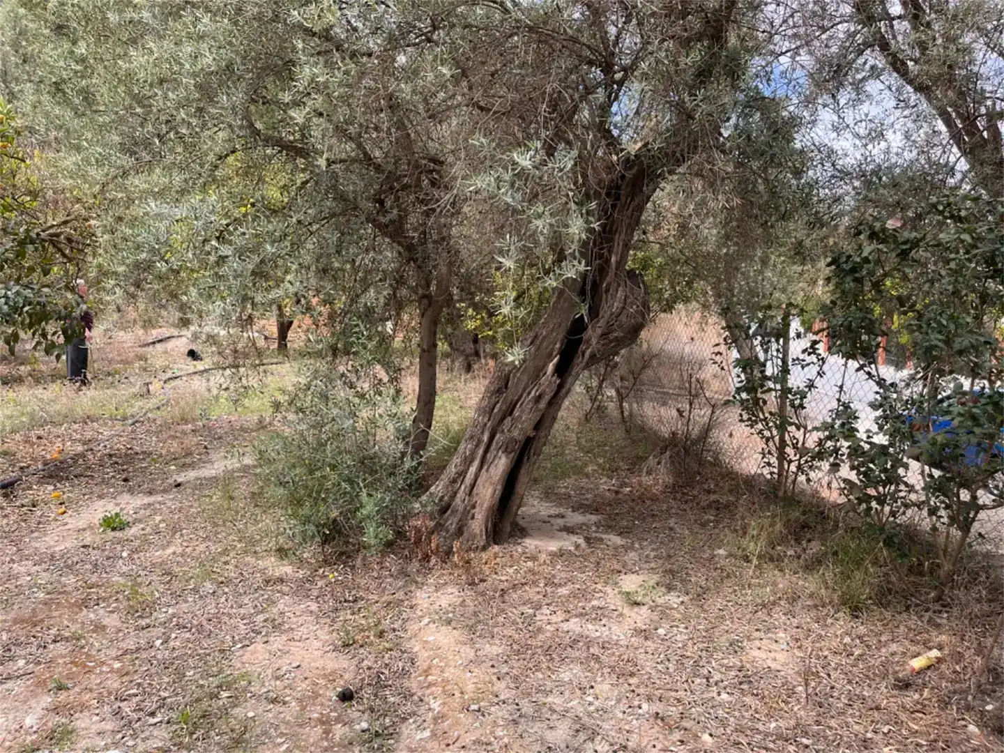 Residencial en venda en El Pinar, Granada