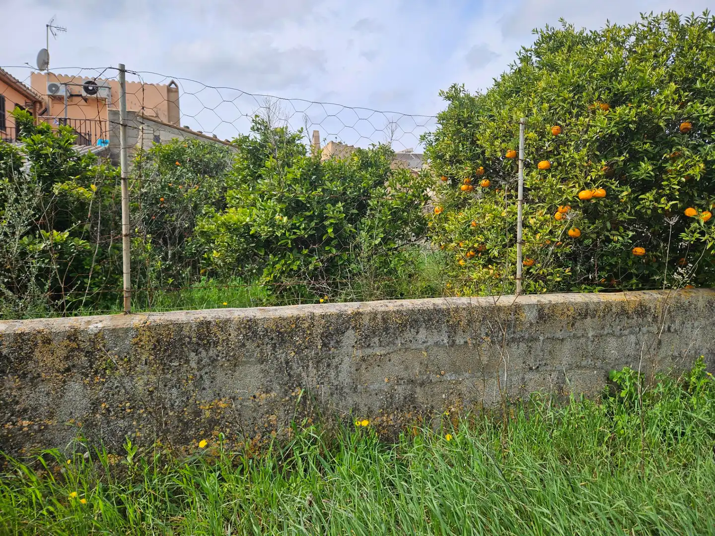 Terreno residencial en venta en Carrer d'en Fiol 19