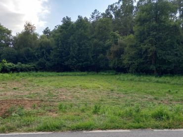 Residential land for sale in Salceda de Caselas