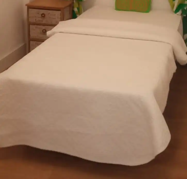 Flat with lift for sale in Avinguda de Blasco Ibáñez 174, imagen 10