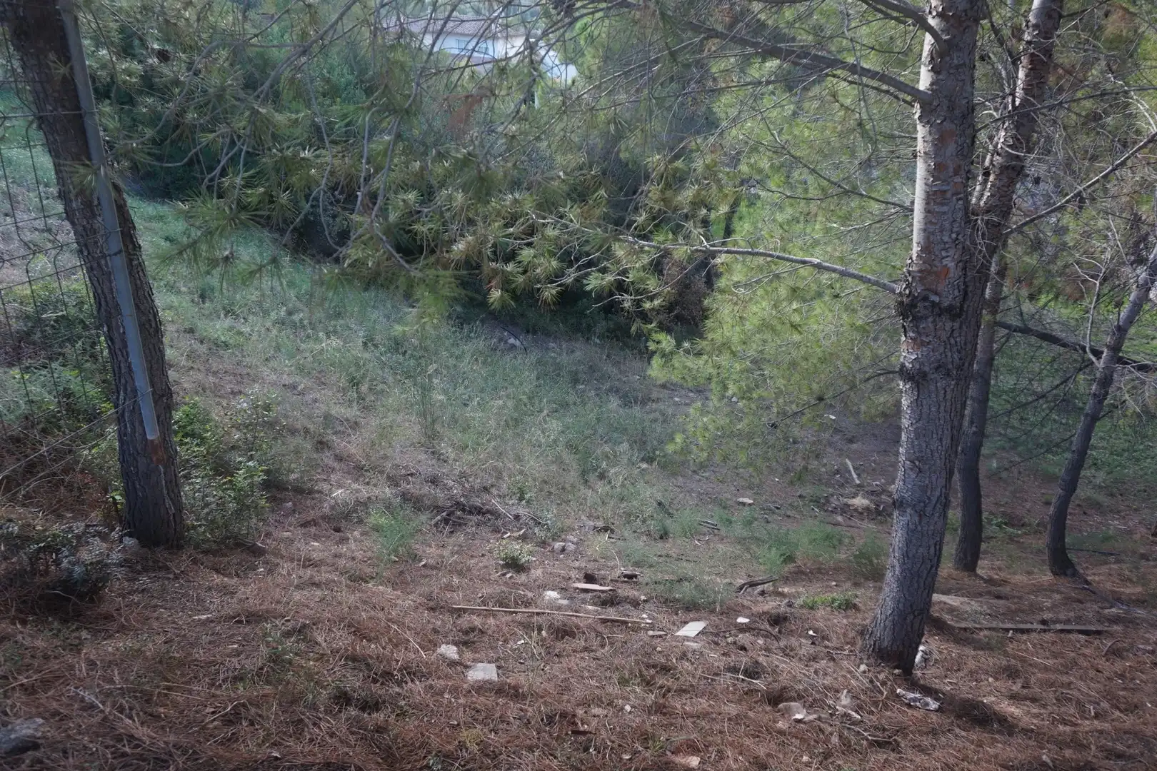 Terrenys i solars en venda a de l'Alzina, imagen 9