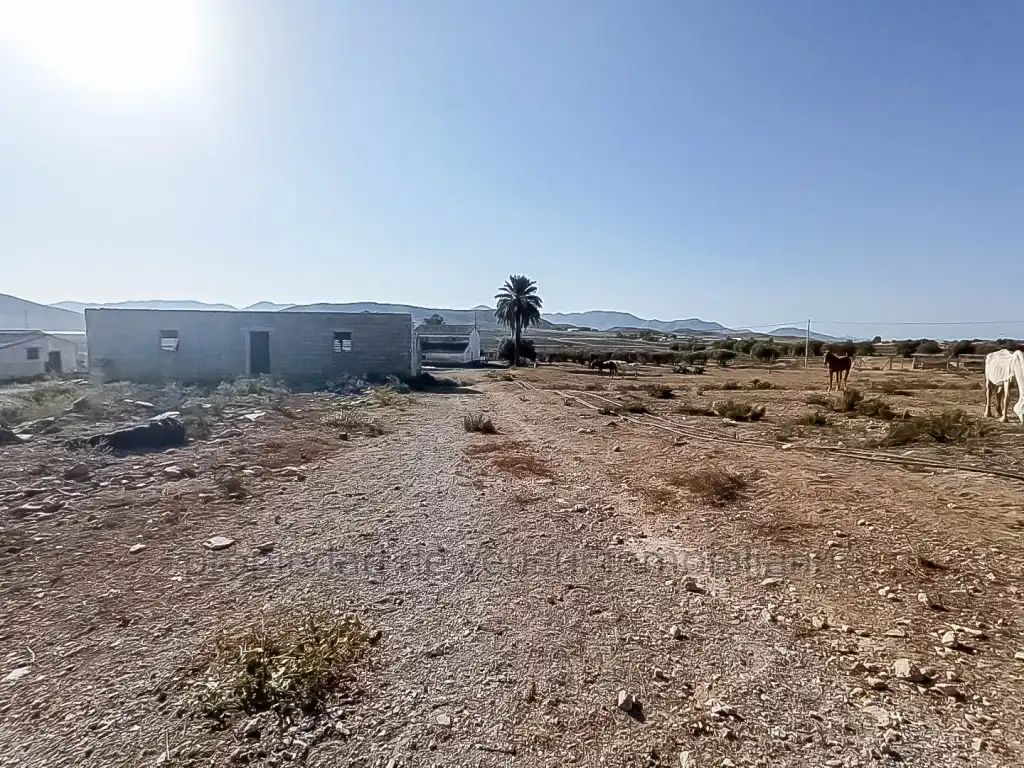Country homes for sale in Lorca