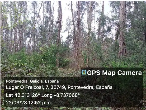 Rustikales Grundstück zum Verkauf in Tomiño, imagen 3