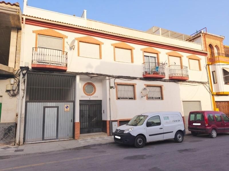 Exterior view of Flat for sale in Colomera