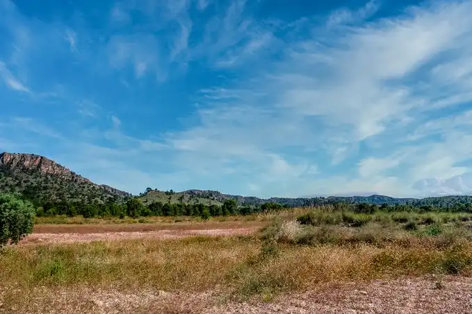 Rustikales Grundstück zum Verkauf in Paraje Fuente del Peral y Rincón del Majariego, Plg 6-7, imagen 12