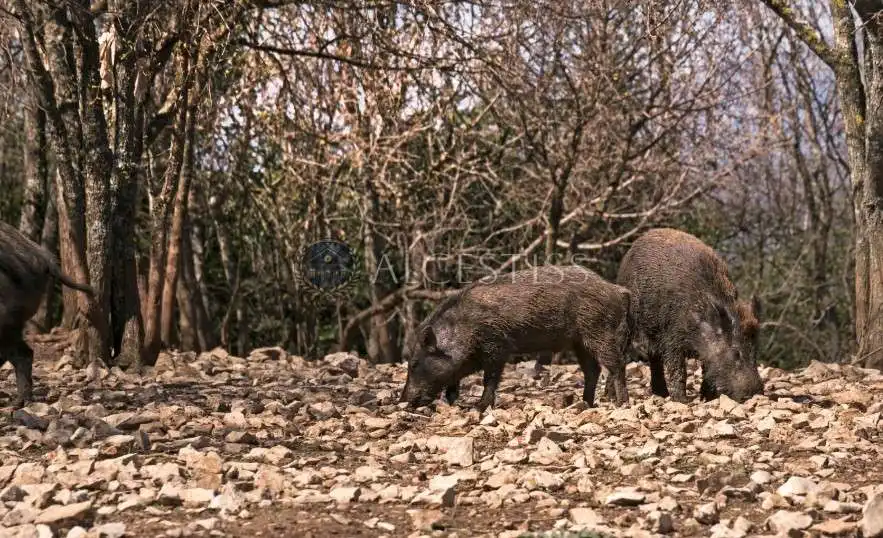 Terreni e lotti in vendita a Méntrida, imagen 17