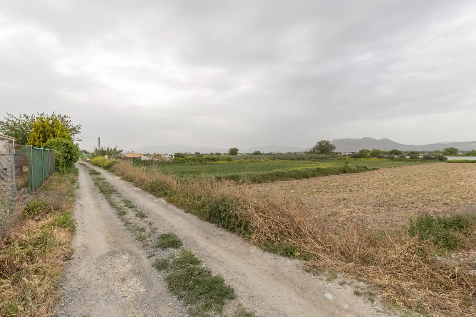 Terreny rústic en venda a Camino DISEMINADOS, imagen 15