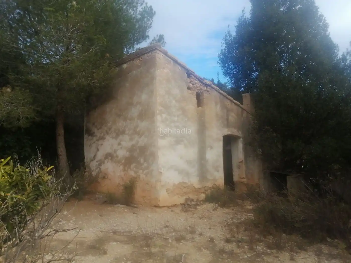 Rural land for sale in Camì del pas a Nivell 9