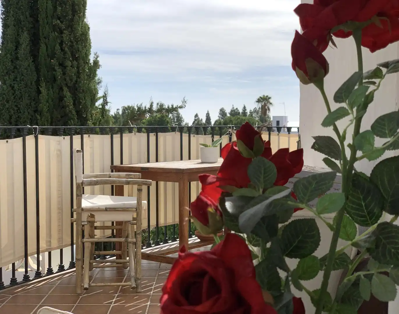 Terraza de Apartamento en venta en Marbella con Aire acondicionado, Calefacción y Jardín privado