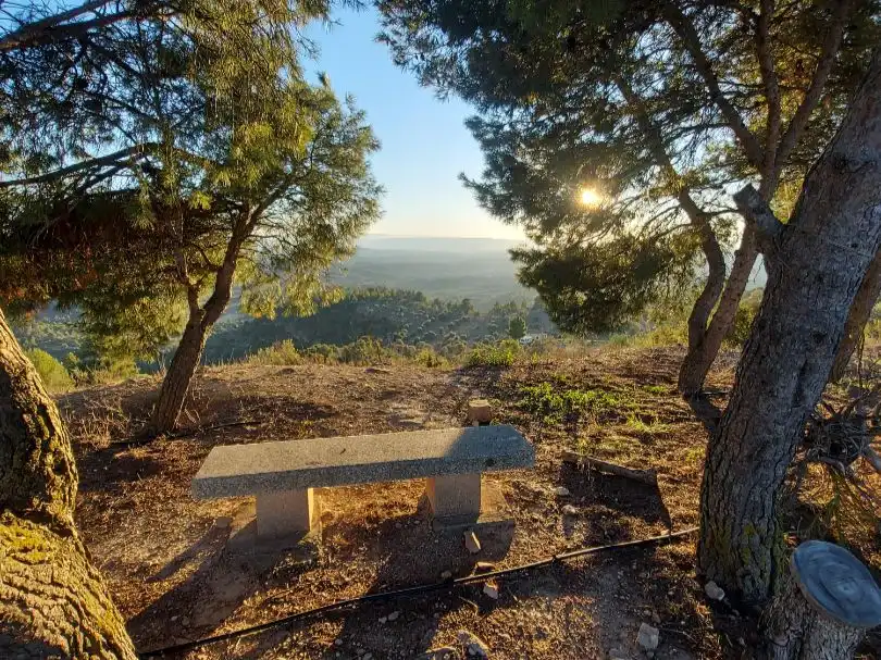 Casa aparellada amb jardí en venda a L'Escultor 10, imagen 17
