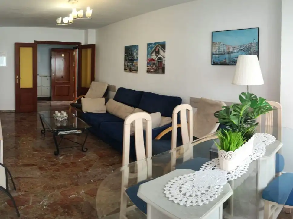 Living room of Flat for rent in El Morche