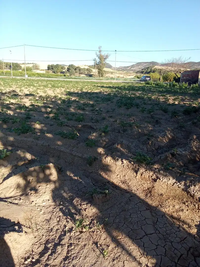 Casa rústica en venda a Desamparados - Hurchillo - Torremendo, imagen 5