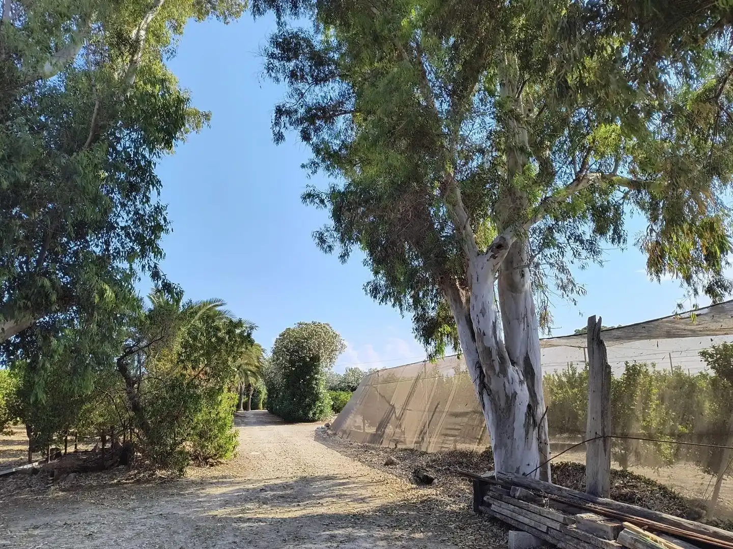 Vista exterior de Finca rústica en venta en Cullera con Calefacción, Jardín privado y Terraza