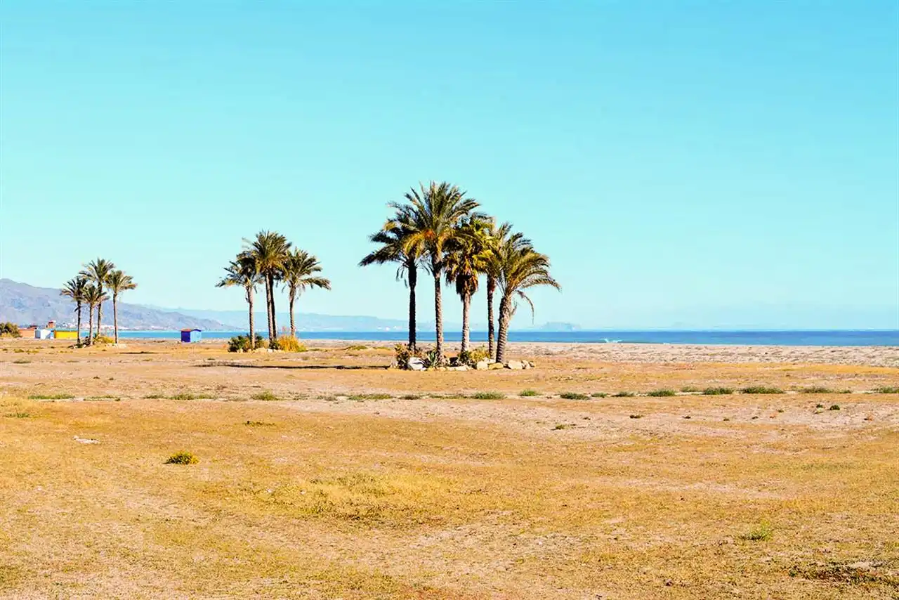 Detached house with pool for sale in Cala Marqués, imagen 29