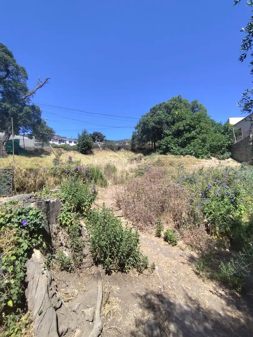 Terrenos y solares en venta en San García, imagen 6