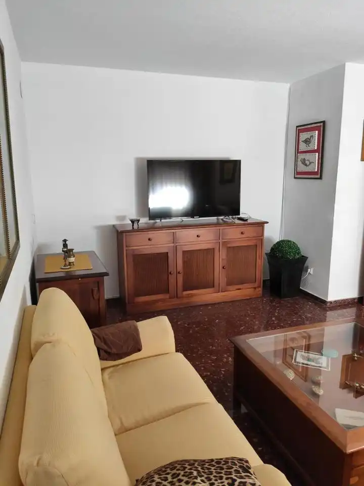 Sala d'estar de Pis de lloguer en Valencia amb Aire condicionat, Calefacció i Moblat
