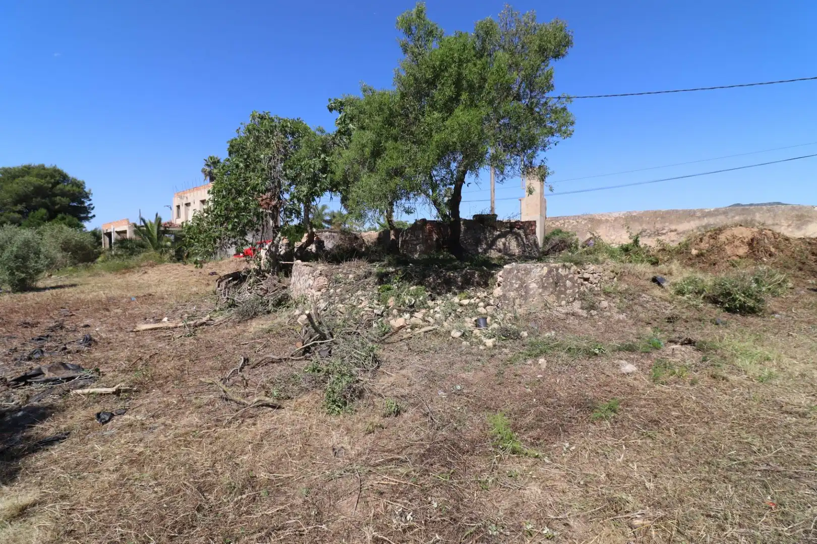 Terreno rustico in vendita a Alcanar, imagen 4