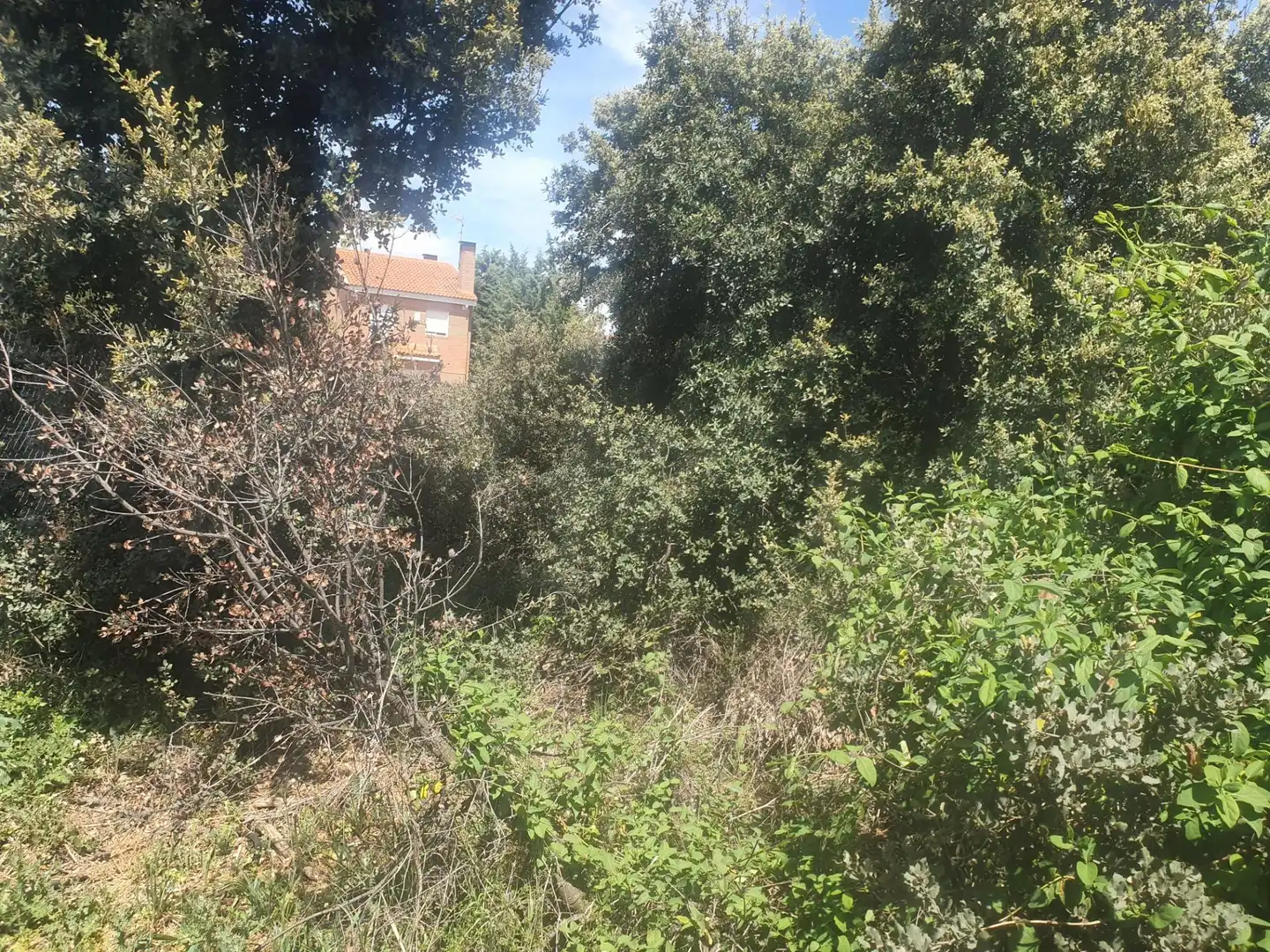 Terreno residencial en venta en Pioz, imagen 5