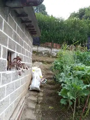 Residential land for sale in Cuesta JARROTA, imagen 4