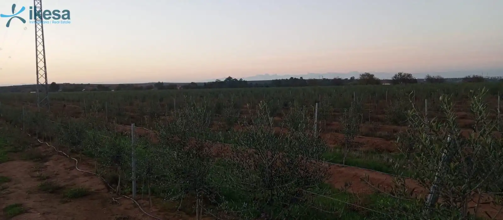 Terreni e lotti in vendita a Jerez de los Caballeros, imagen 5
