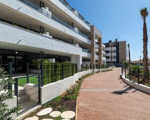 Vista exterior de Planta baixa en venda en Orihuela amb Jardí privat, Terrassa i Jacuzzi