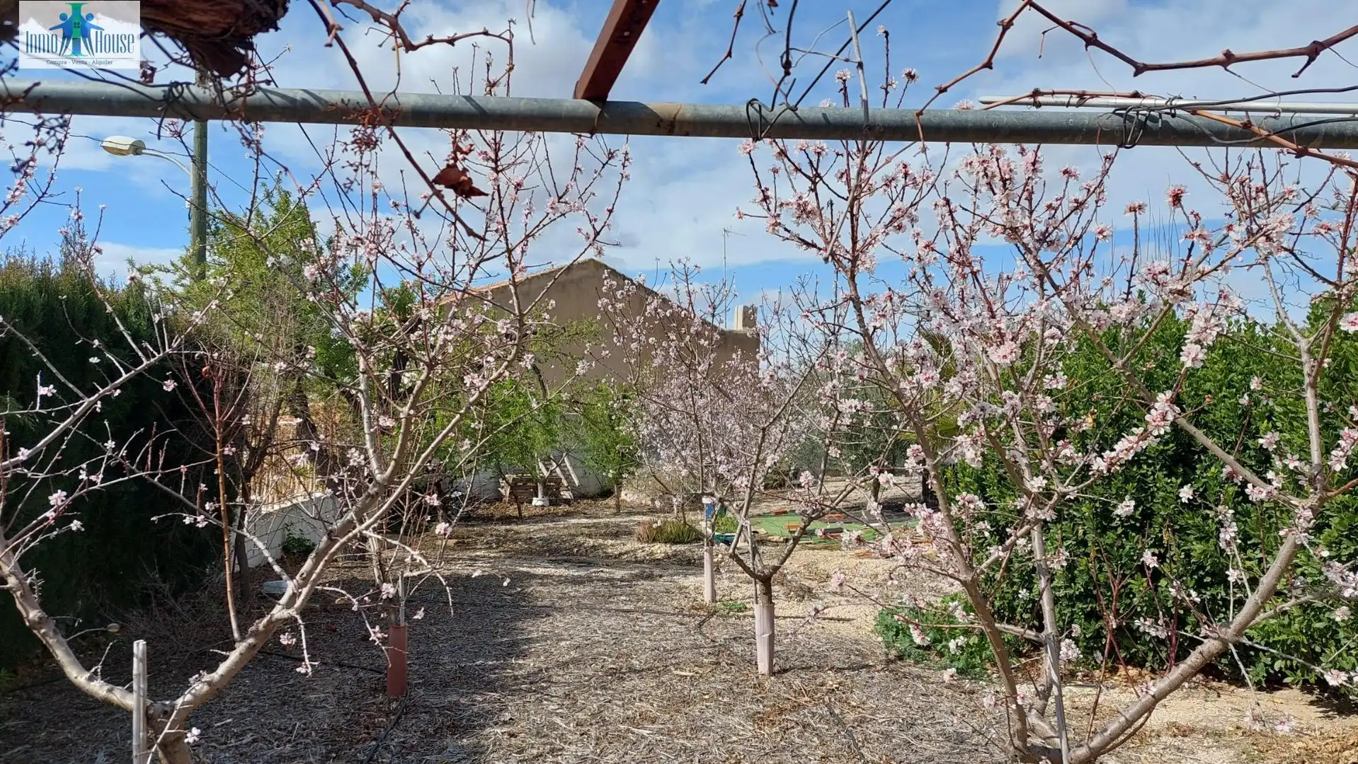 Country homes for sale in Tobarra