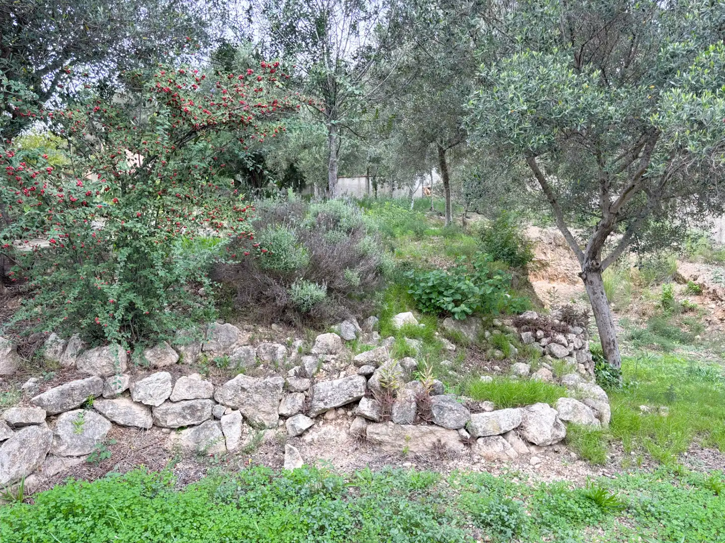 Casa o xalet en venda en La Palma de Cervelló amb Aire condicionat, Calefacció i Jardí privat