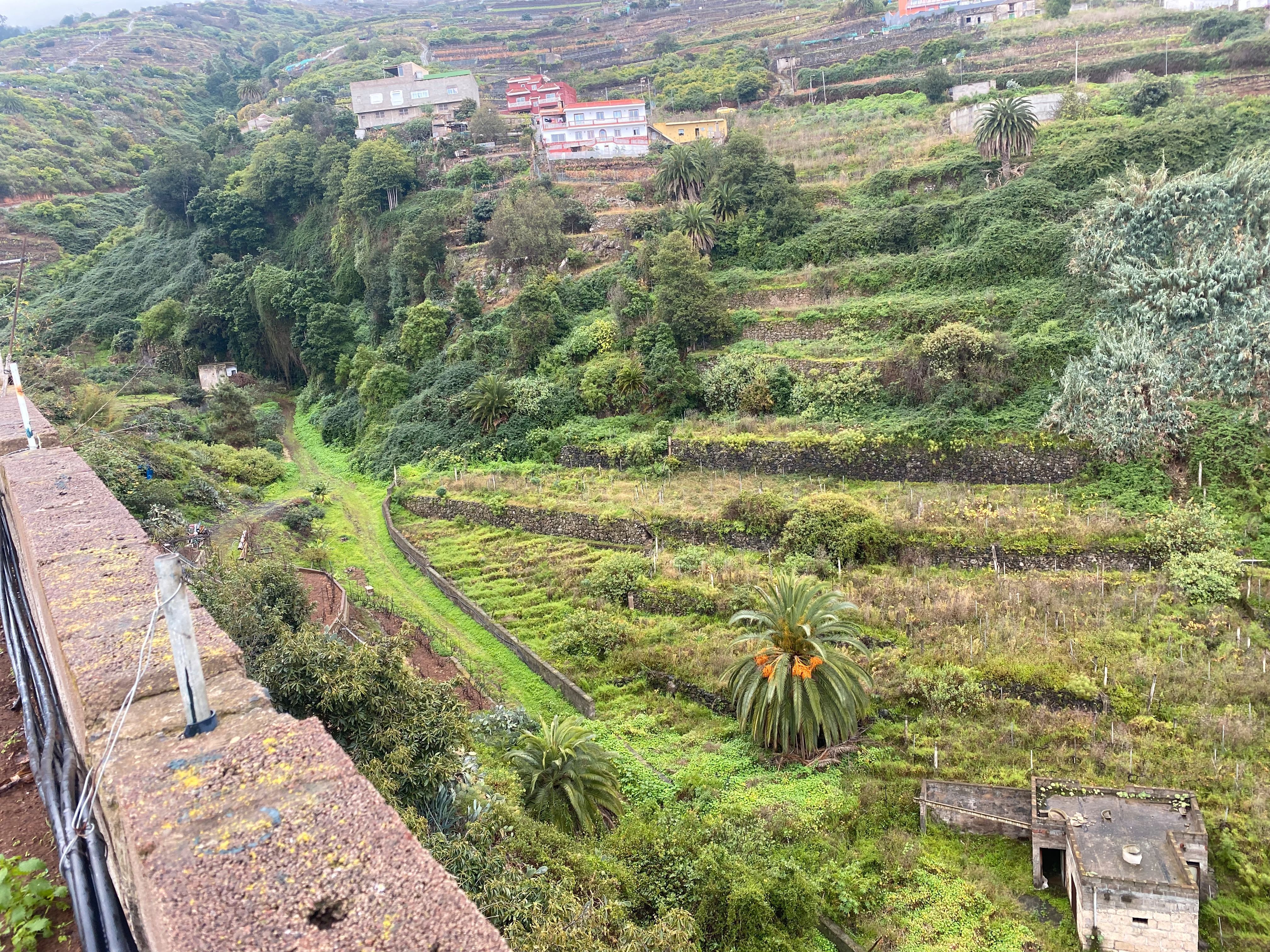 Exterior view of House or chalet for sale in Santa Úrsula  with Terrace