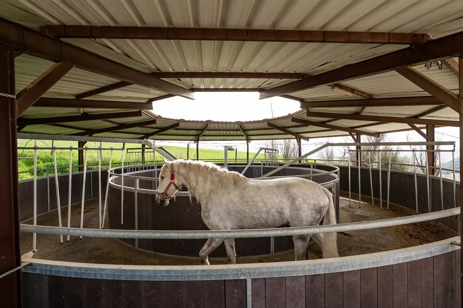 Außenansicht von Country house zum Verkauf in Villanueva de la Concepción mit Terrasse, Schwimmbad und Möbliert