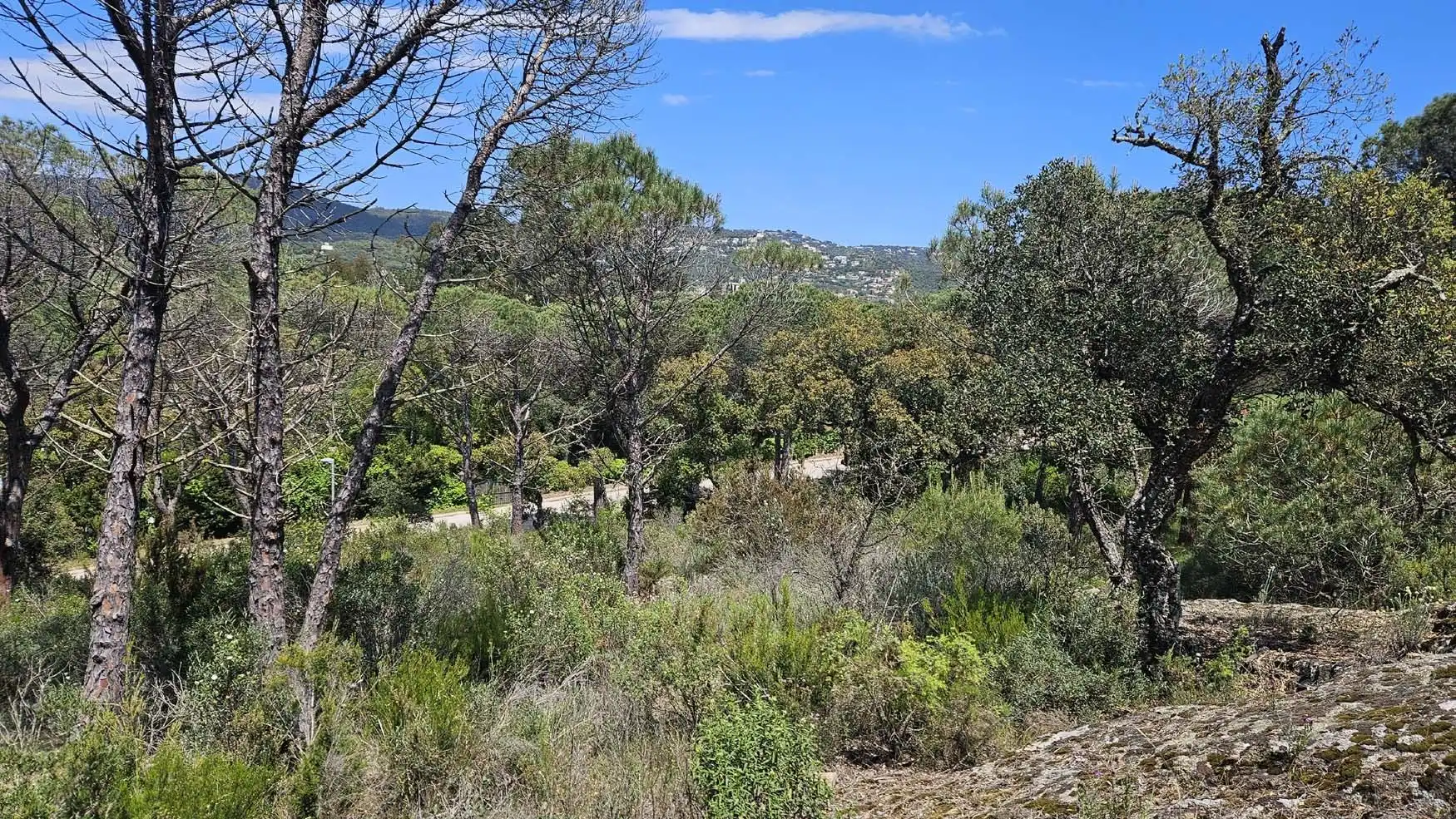 Rustikales Grundstück zum Verkauf in Camino de Mas Jofre al Barri del Vilar, imagen 6