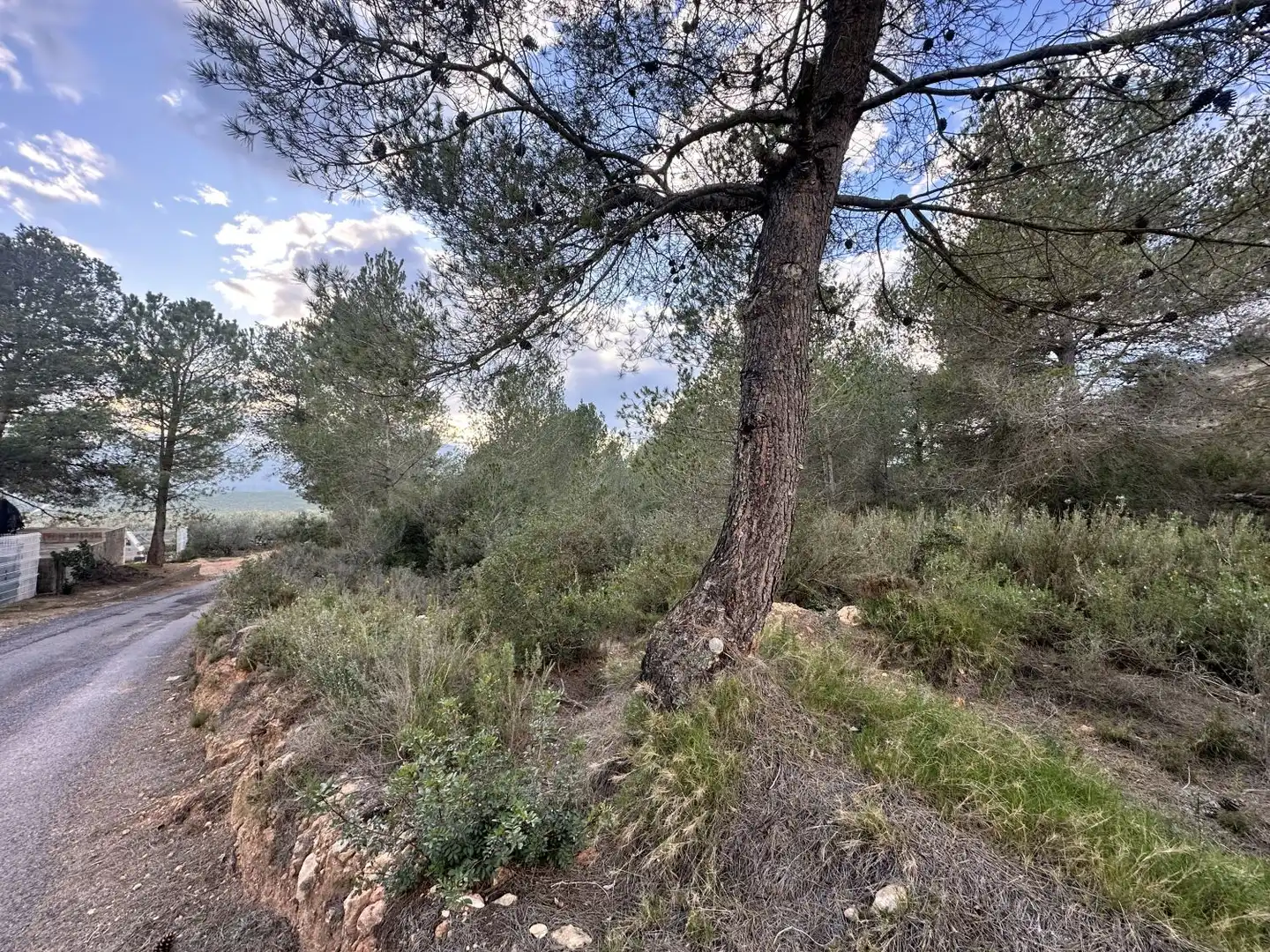 Terrenos y solares en venta en Alfara de la Baronia, imagen 10