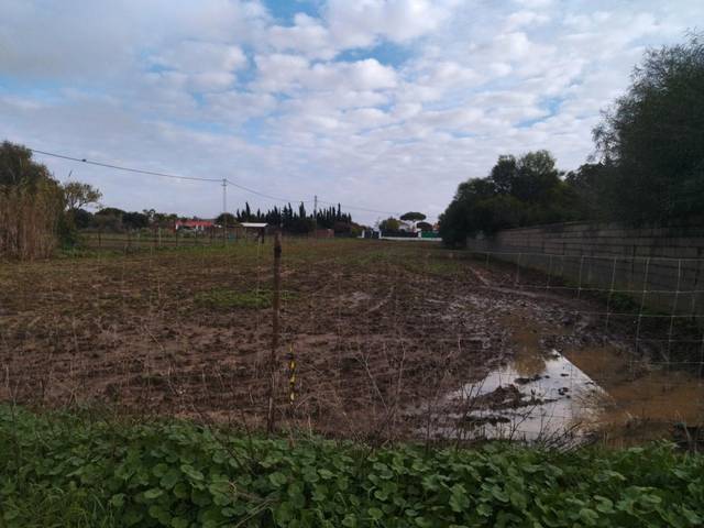 Terreno en Venta en Paseo Marítimo en El Palmar