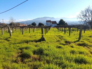 Terreno residenziale in vendita a Tui