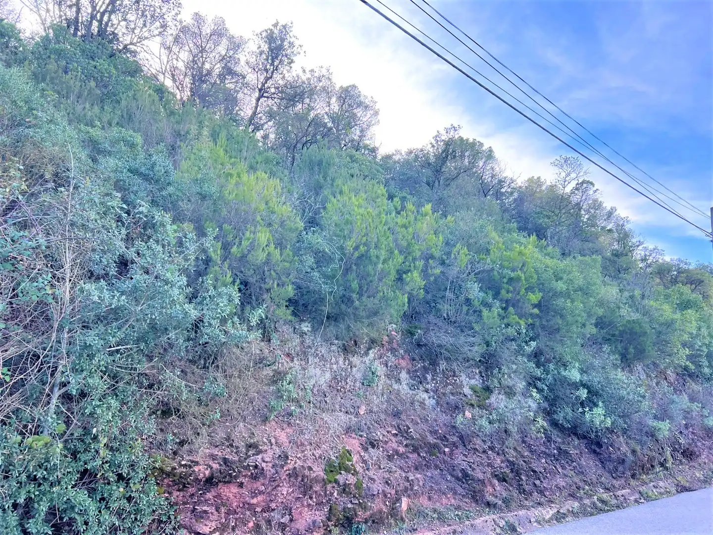 Terreno residencial en venta en Carrer Torrent del Llort 35, imagen 10