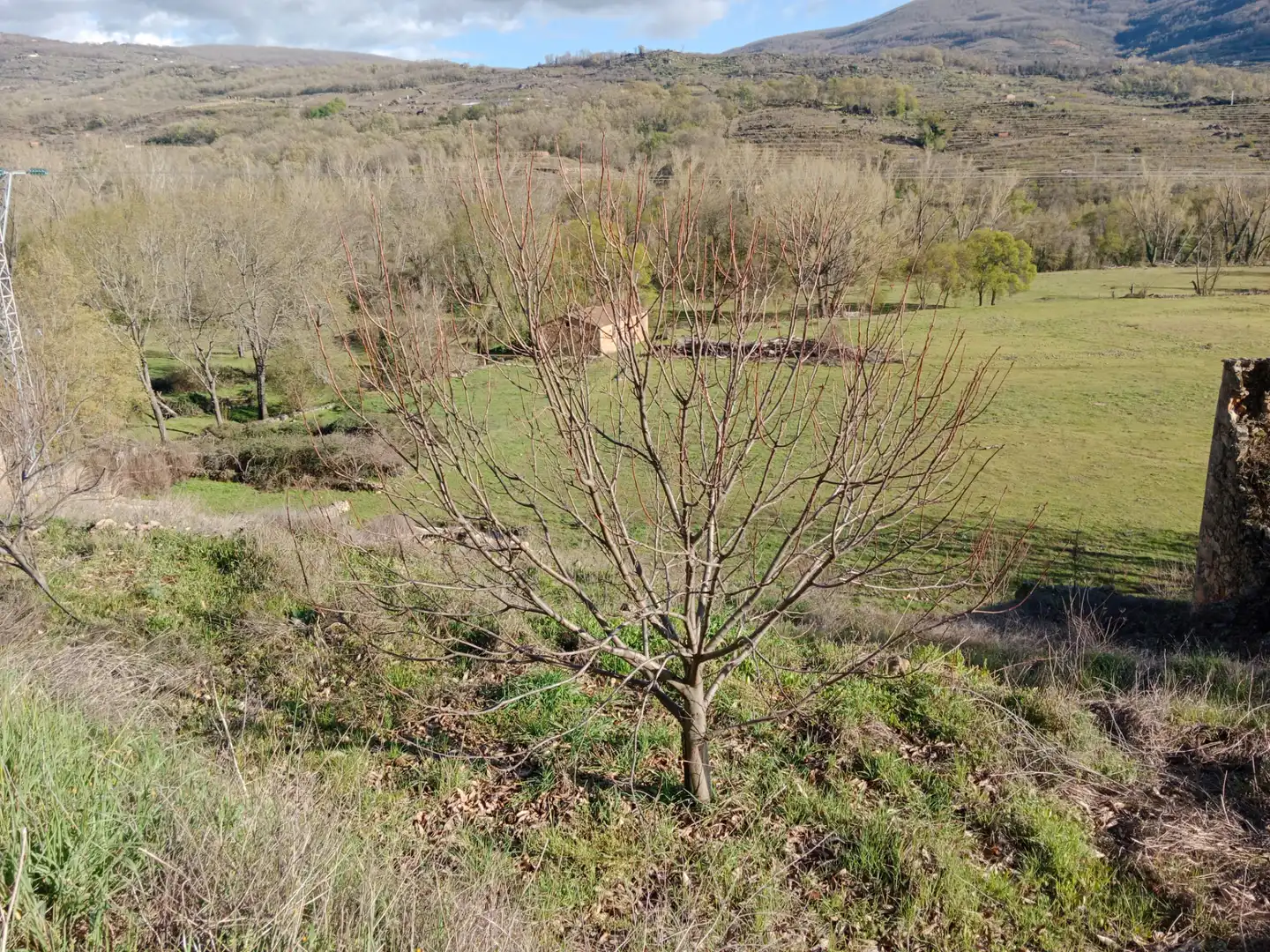 Terreno en venta en El Torno 