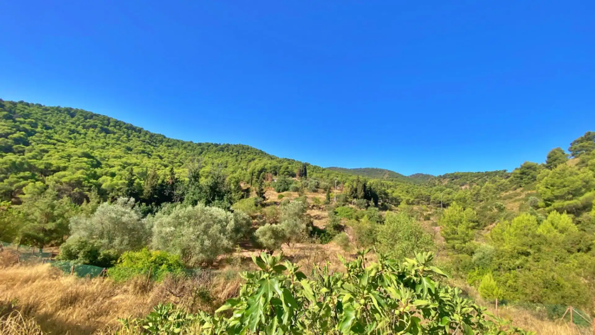 Finca rústica en venta en Alhama de Murcia