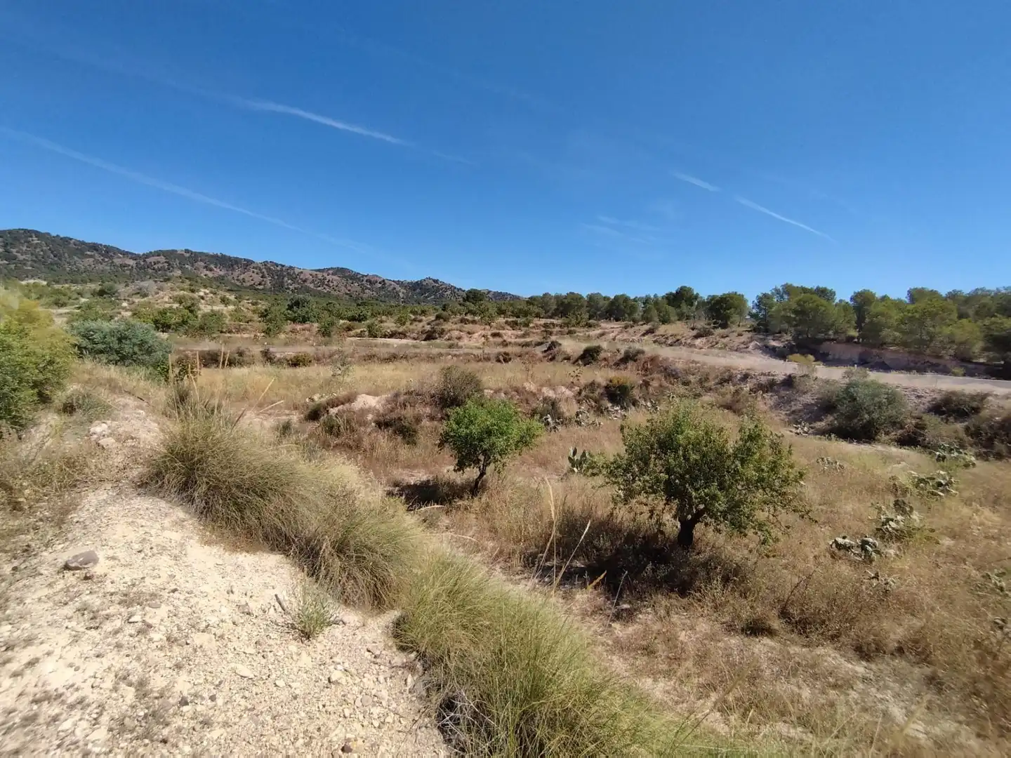 Casa o chalet en venta en Murcia con Trastero y Amueblado