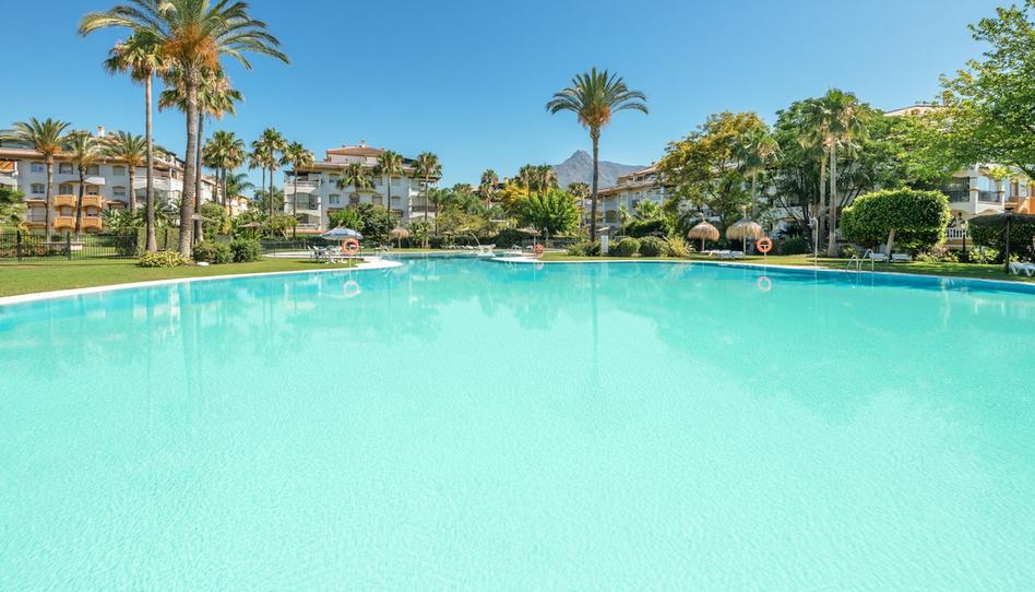 Foto 1 de Apartament en venda a Avenida Playas del Duque, 2, Puerto Banús, Málaga