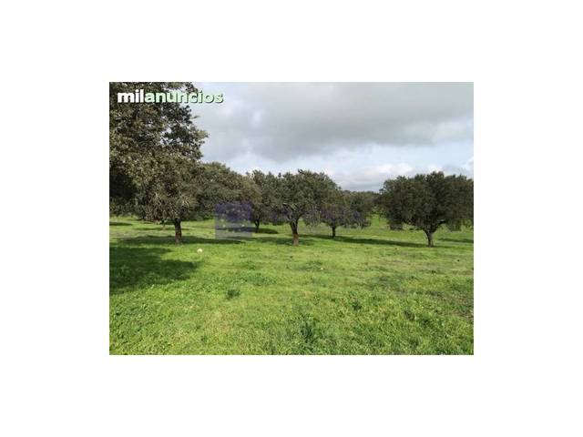 Casa-chalet en Venta en Torrejoncillo