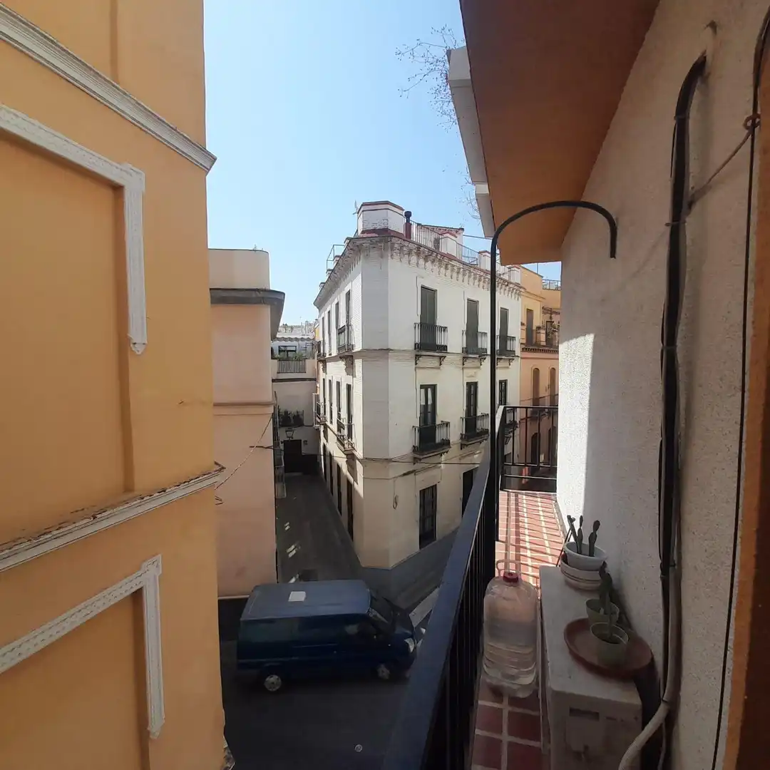 Pis amb terrassa de lloguer a Calle Dean López Cepero, imagen 16
