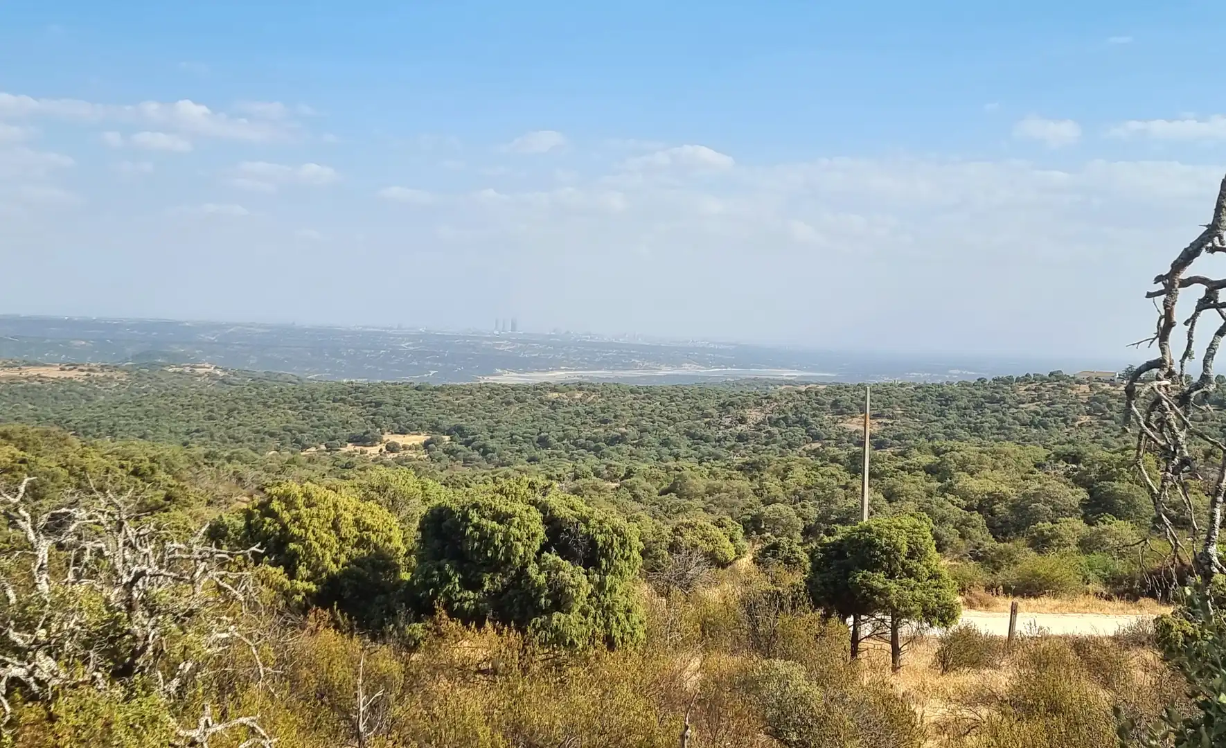 Land for sale in Colmenar Viejo