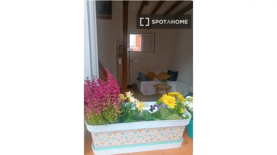 Appartement à louer à Centro, imagen 8