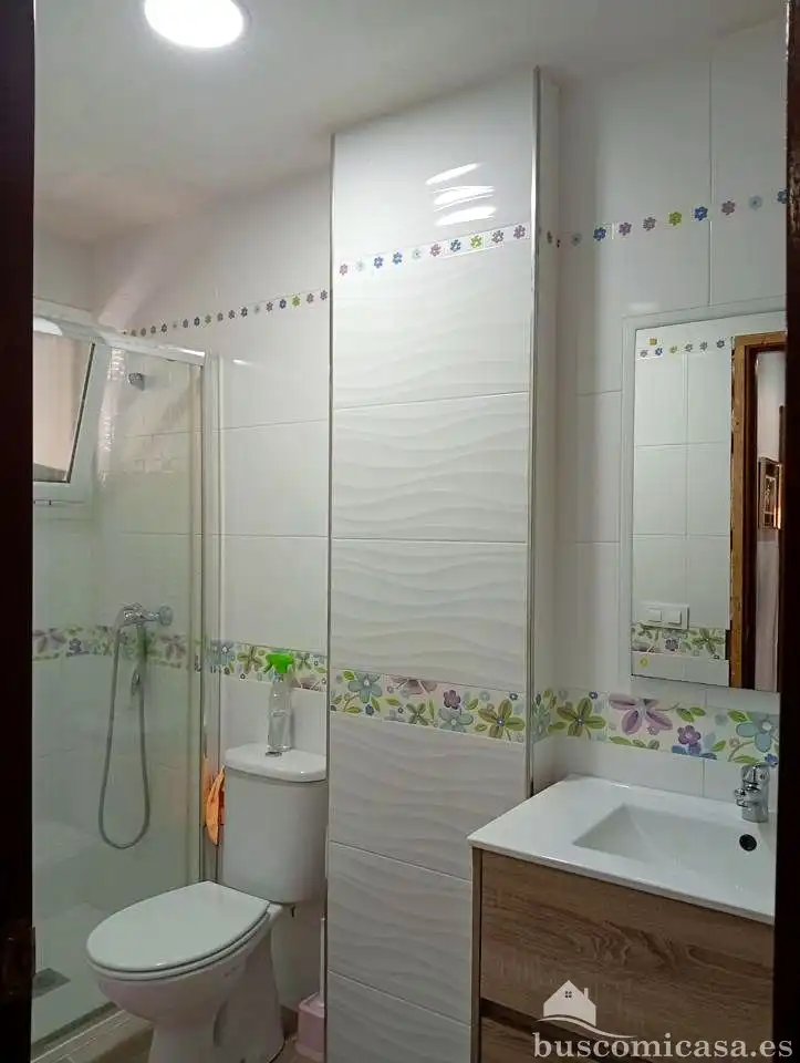 Appartamento con terrazza in vendita a Ercilla, imagen 7